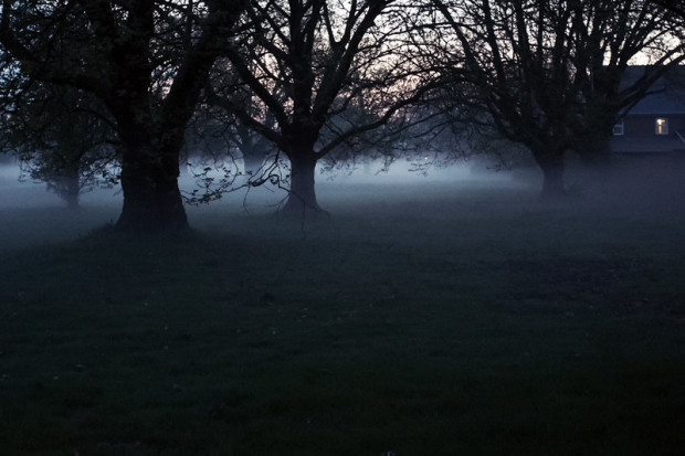 что делать в лондоне июль 2015