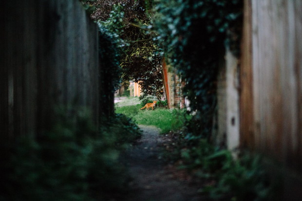 что делать в лондоне 25 сентября