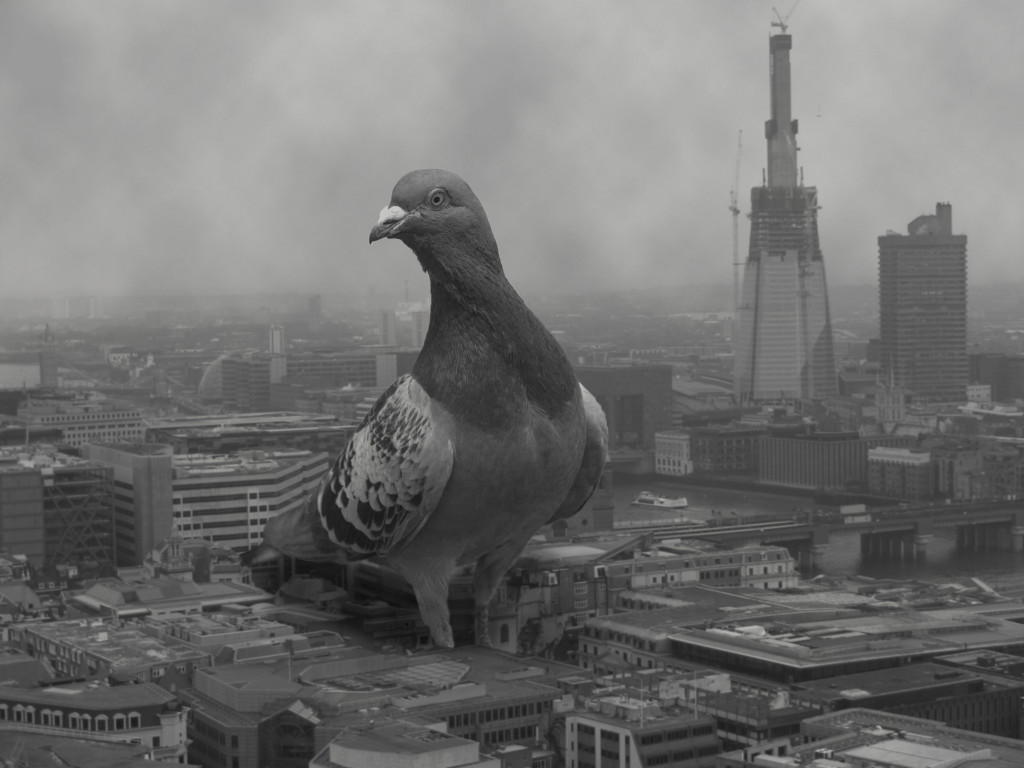 события лондона октябрь 2015