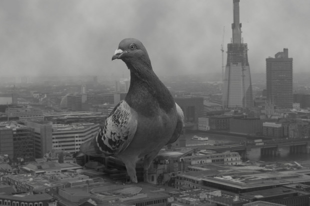 события лондона октябрь 2015