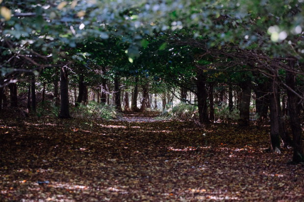 что делать в лондоне