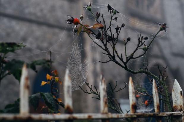 что делать в лондоне в январе 2016