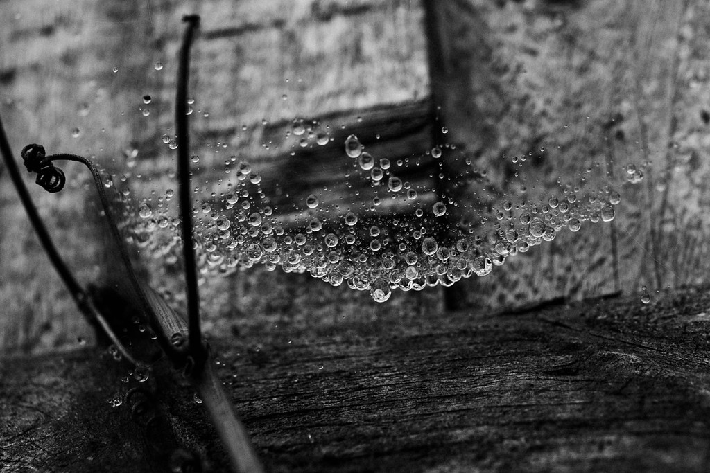 что делать в лондоне в феврале