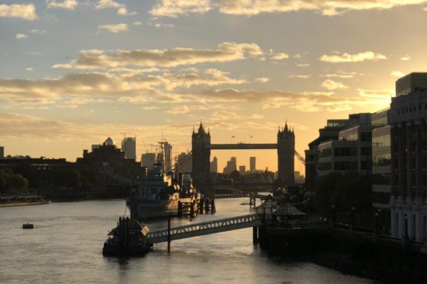 события лондона ноябрь 2018