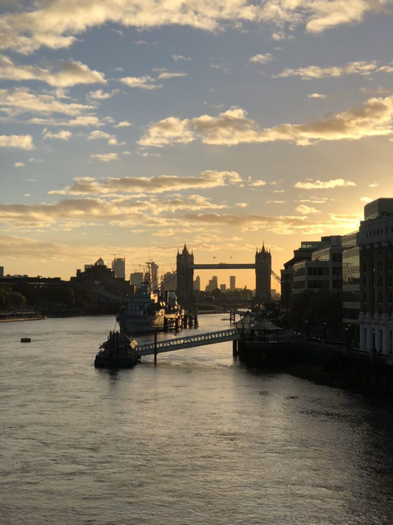 события лондона ноябрь 2018