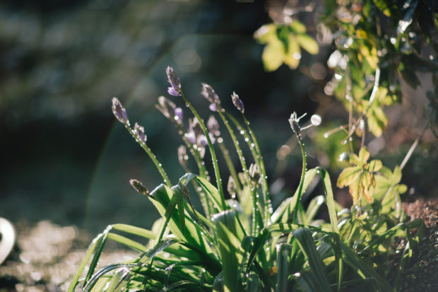 события лондона